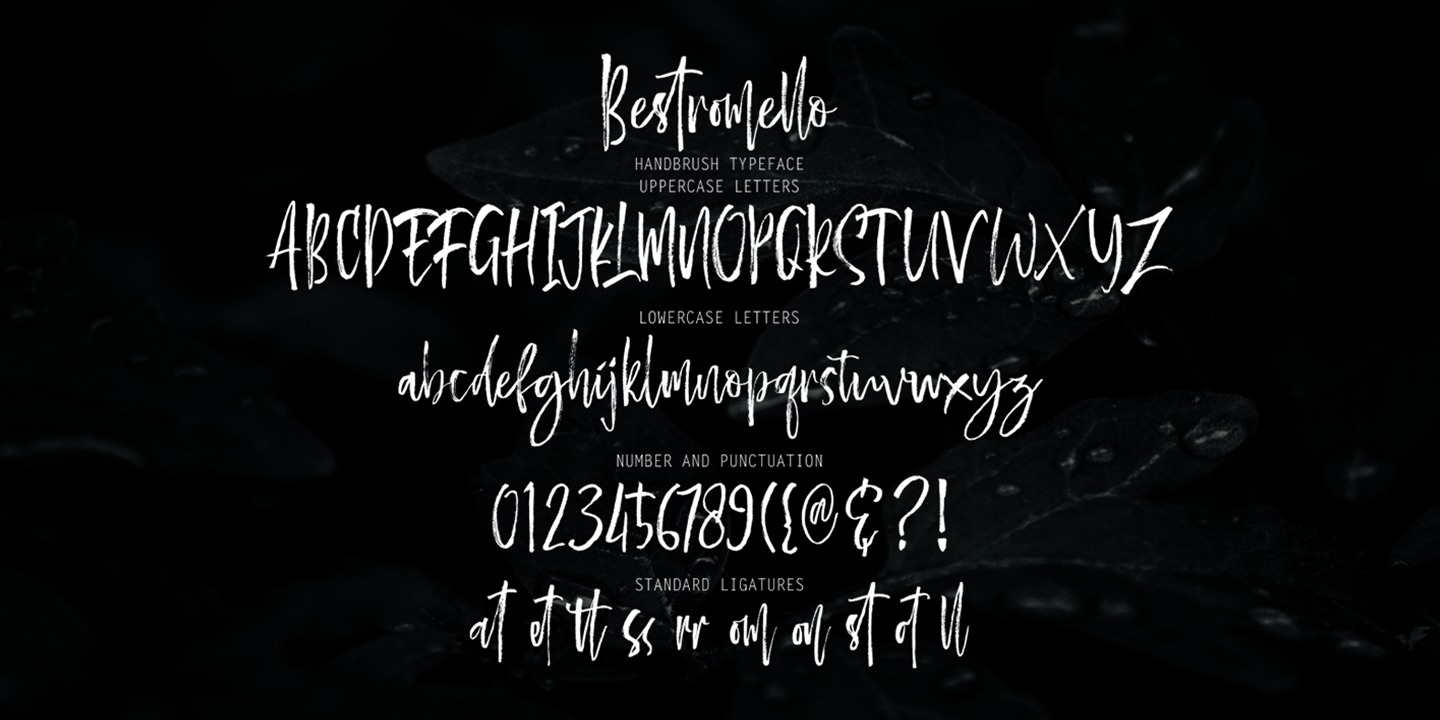 Beispiel einer Bestromello Script Regular-Schriftart